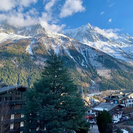 Superbe T3- Vue Mont-blanc- Au Pied Du Brevent- شقة
