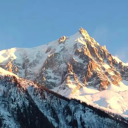 شقة Superbe T3- Vue Mont-blanc- Au Pied Du Brevent-