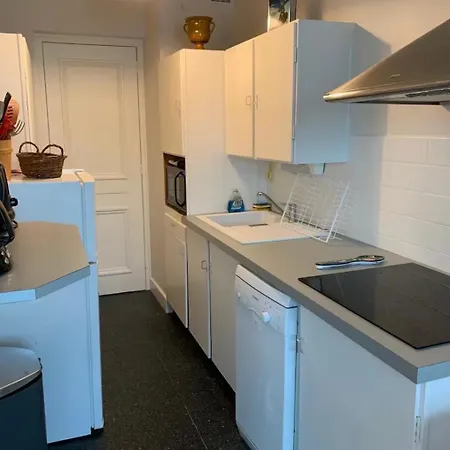Daire Superbe T3- Vue Mont-blanc- Au Pied Du Brevent-