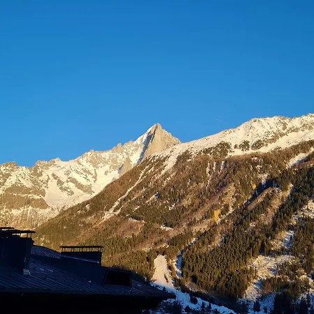 Daire Superbe T3- Vue Mont-blanc- Au Pied Du Brevent- Chamonix